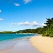 Grenada Pinterest. Image by Orietta Gaspari from Getty Images Signature via Canva