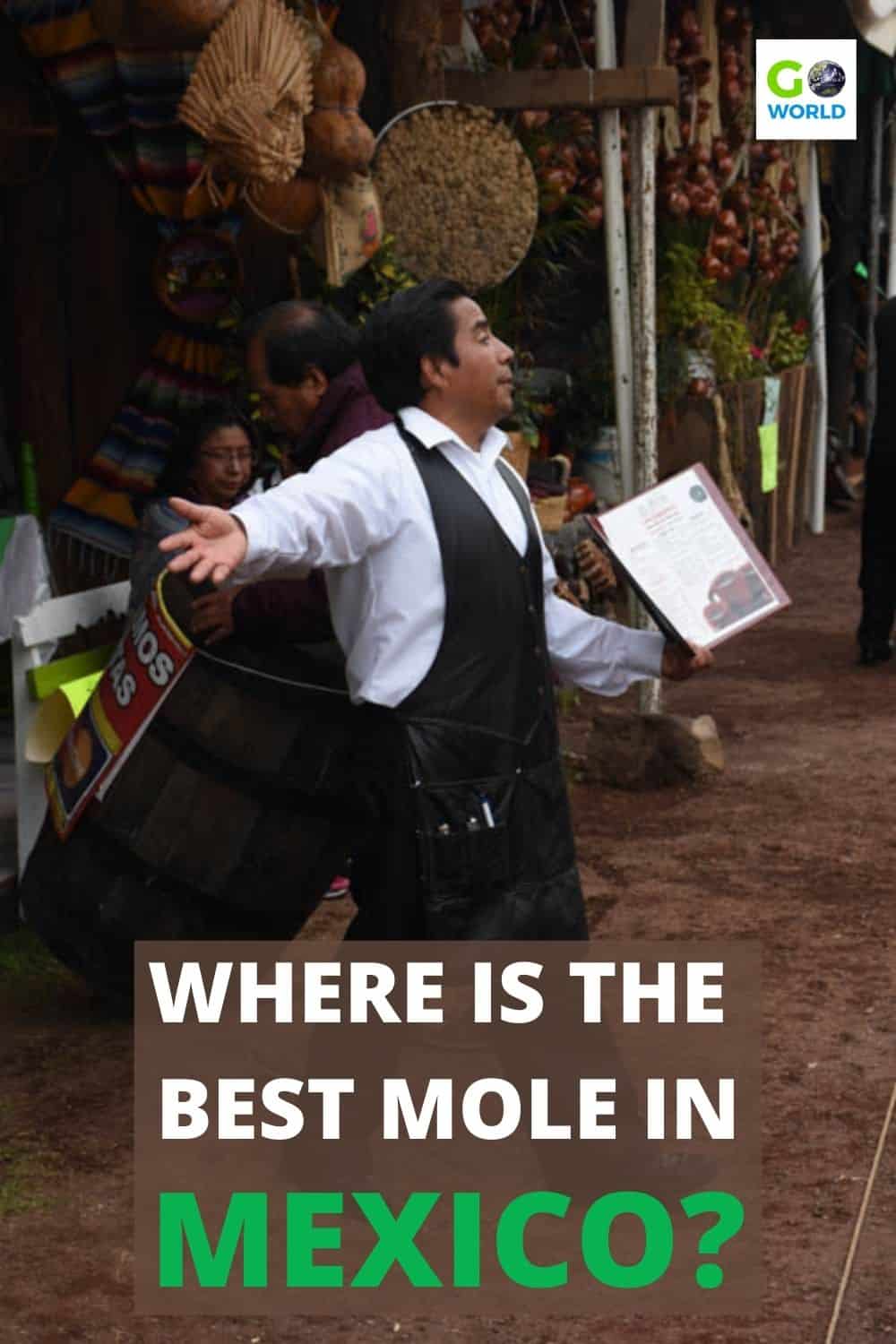 Mole sauce is a staple in Mexico. It's particularly popular in the city of Oaxaca. But where is the best mole in Mexico? Here's the answer. #moleinmexico #mexicanmolesauce #mexicanfood