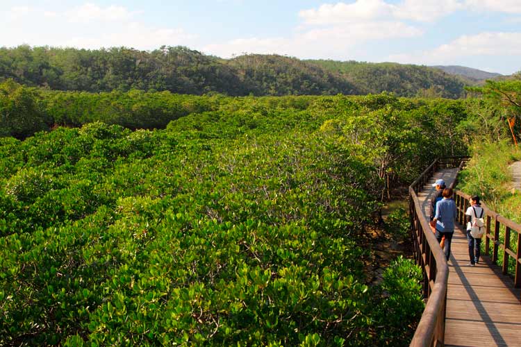 Nature in Okinawa