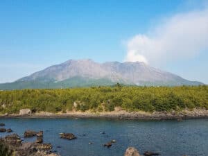 Walking in Ancient Forests on Yakushima Island