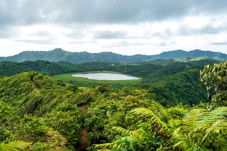 Grenada nature