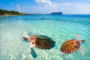 Top 10 Things to Do on a Trip to Cancun