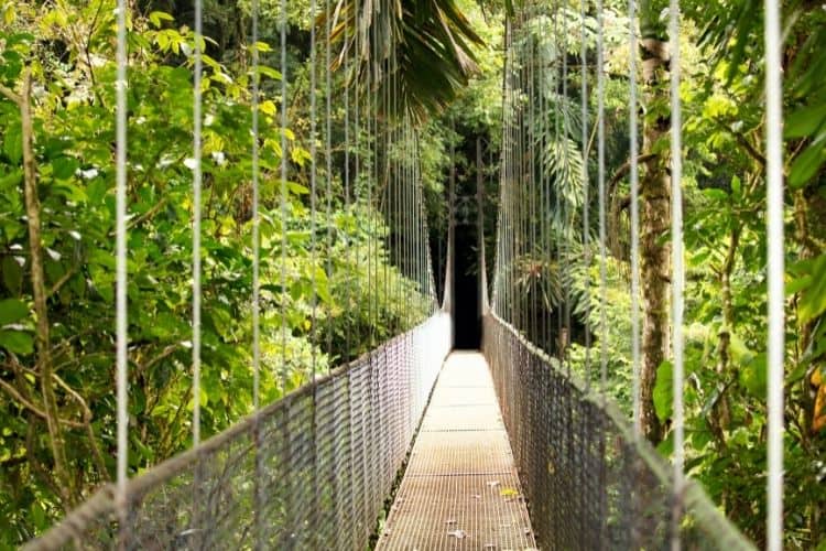 Costa Rica Ecotourism
