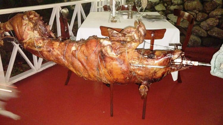 It's hard not to feel sorry for the pig being roasted for our meal at the Hermitage Inn on the island of Nevis. Photo by Victor Block