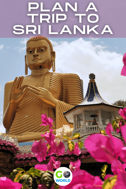 Sri Lanka is a fantastic holiday destination with plenty of things to see and do with warm weather all year but two distinct monsoon seasons that can bring heavy rains to certain regions. Check out when is best to go and what’s not to be missed on your Karambol Sri Lanka itinerary.