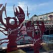 Lobster in Portland Maine