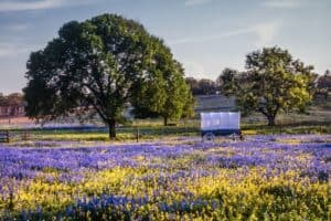 Discover the Charms of Wimberley and Driftwood in Texas Hill Country