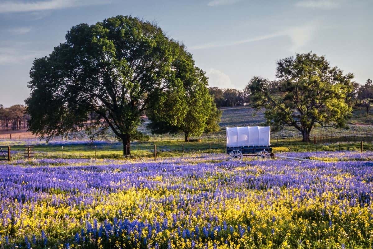 Texas Hill Country