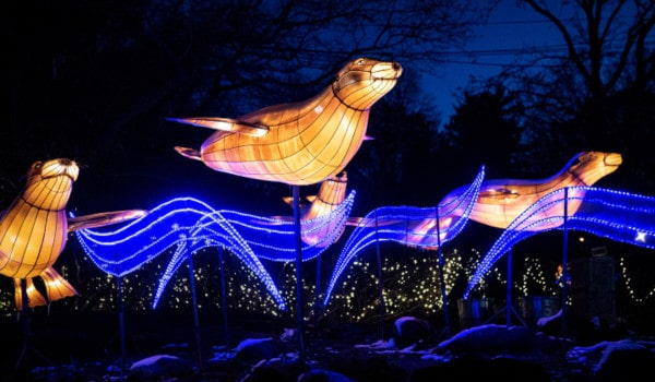 Holiday Lights at the Bronx Zoo courtesy of The Bronx Zoo