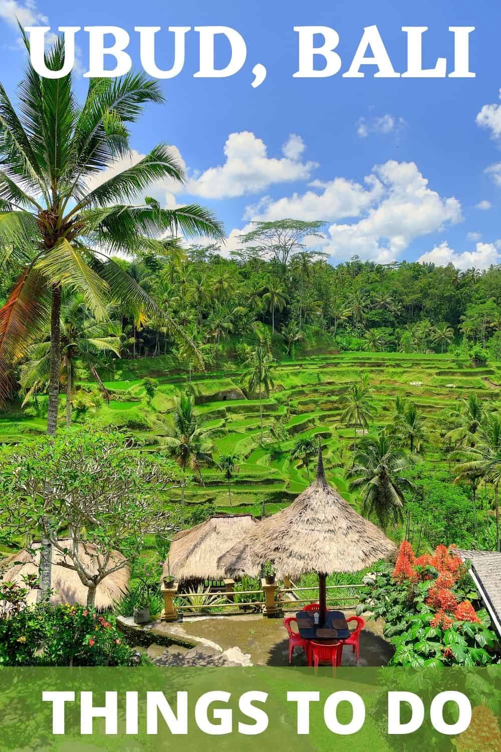 Is Bali on your bucket list? If so, you'll appreciate this list of things to do in Ubud. From temples to a sacred monkey forest sanctuary. #Bali #Ubud