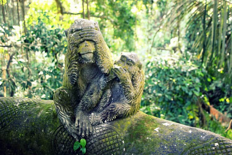 Ubud Bali Monkey Sanctuary