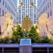 Best holiday tours in New York City