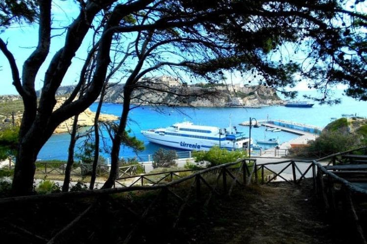 View from the pine forest on San Domino