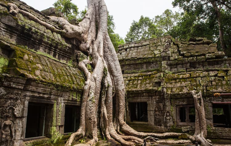 Krong Siem Reap, Cambodia. Photo by Daniel Lienert