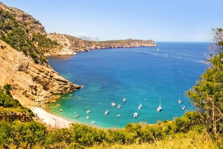 Mallorca Es Coll Baix Beach 