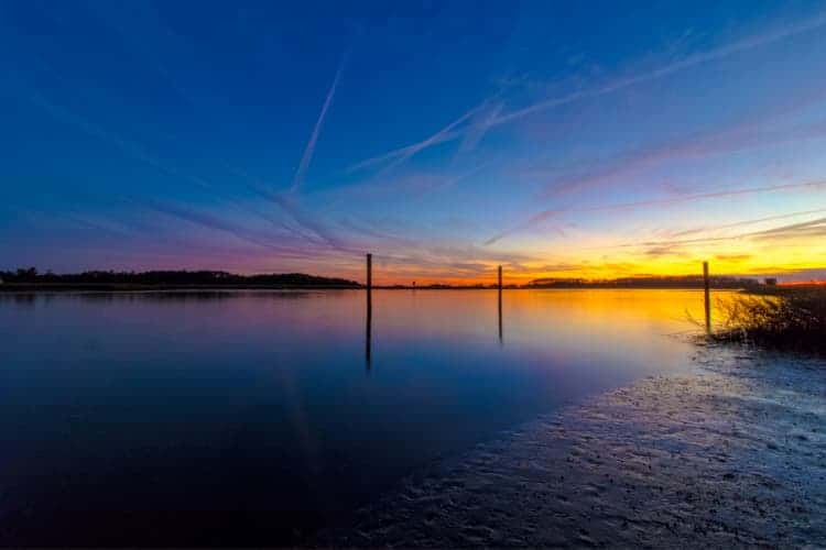 Savannah Sunset. Photo by Michael Dunn