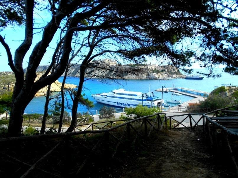 View from the pine forest on San Domino. Photo by Carol L. Bowman 