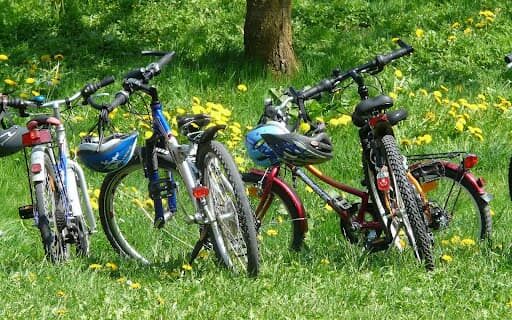 Bikes in the grass. Photo by Dawn Cowles