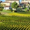 Bordeaux Pinterest