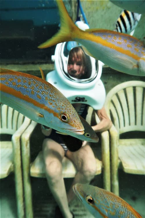 Swimming with the fishes takes on a whole new meaning. Photo courtesy of De Palm Island