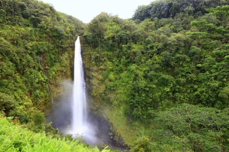 Hawaii Akaka Falls