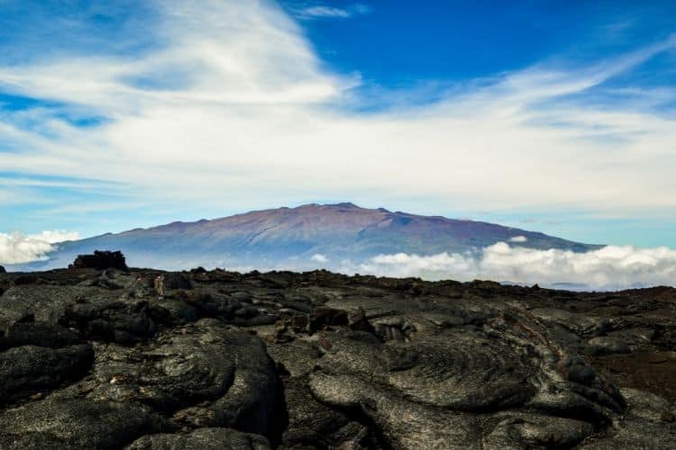 Hawaii travel restrictions