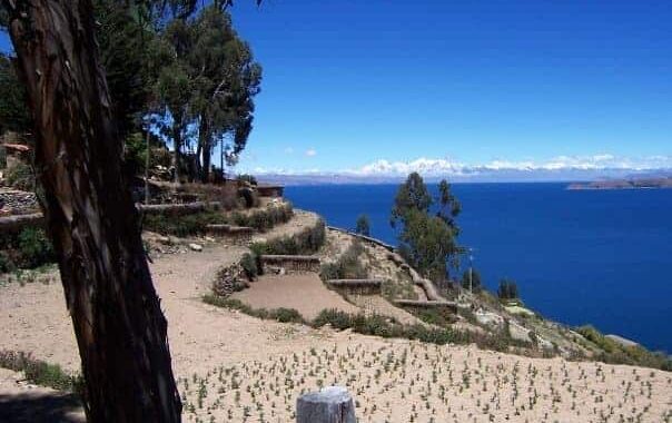 Isla del Sol in Bolivia (Lake Titicaca). Photo by Lily Young