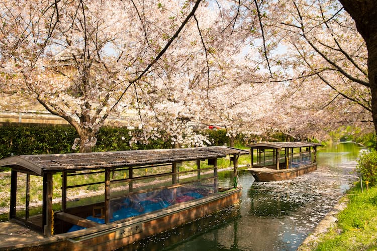 Kyoto, Japan. Photo by Ryutaro Tsukata