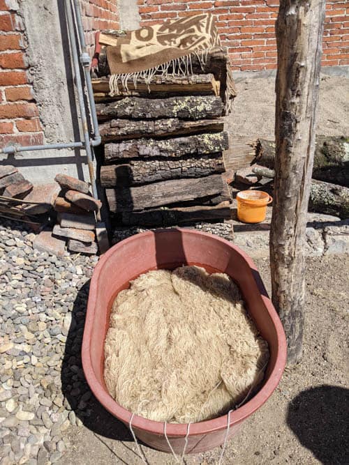 Oaxaca Textiles A bowl of soaking wool before dyeing