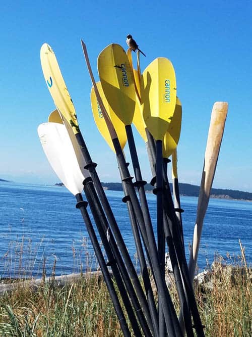 Orcas Island Kayaking adventure 