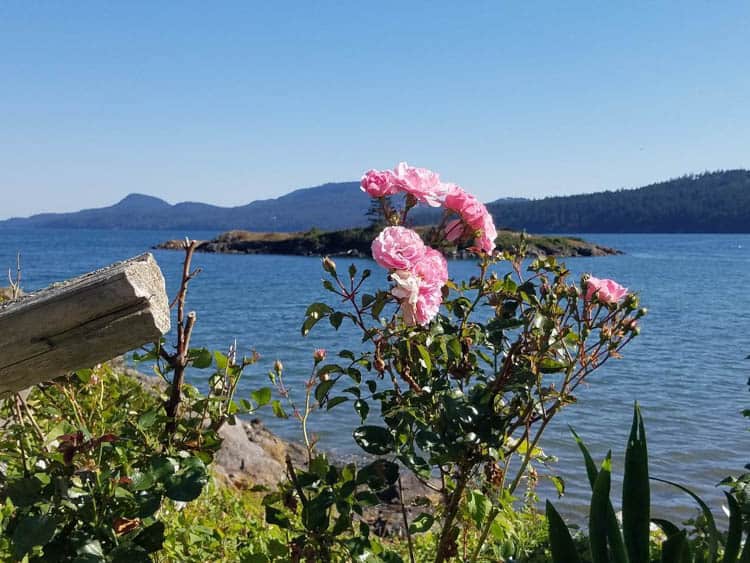 Orcas Island Water view from Eastsound