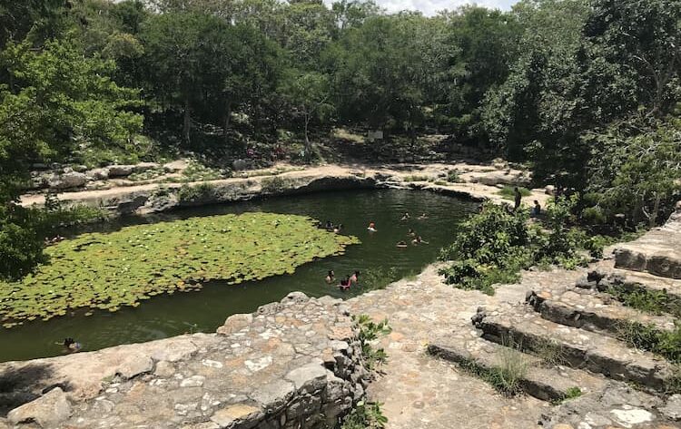 On-site cenote at Dzibilchaltun in the Yucatan, Mexico. Photo by Lily Young