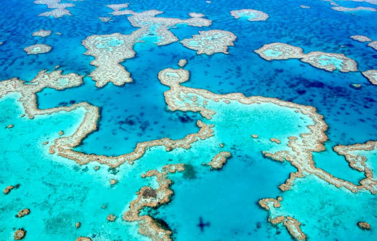 The Great Barrier Reef seen from the scenic flight