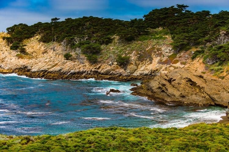 Point Lobos State Reserve 