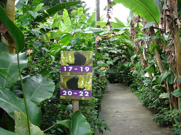 The lodge's walkways (and howler monkey signs). Photo by John M. Smith