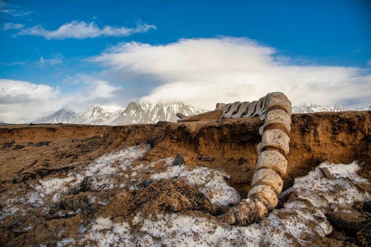 Natural Iceland