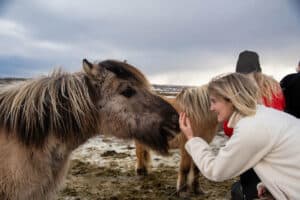 Discovering Natural Iceland Through Environmental Volunteerism