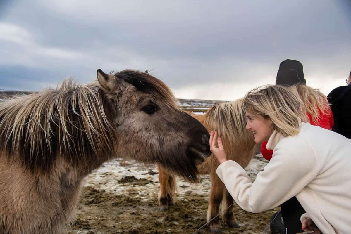 Natural Iceland