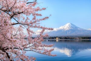 Tips for a Trip From Tokyo to Mount Fuji to Find the Best View