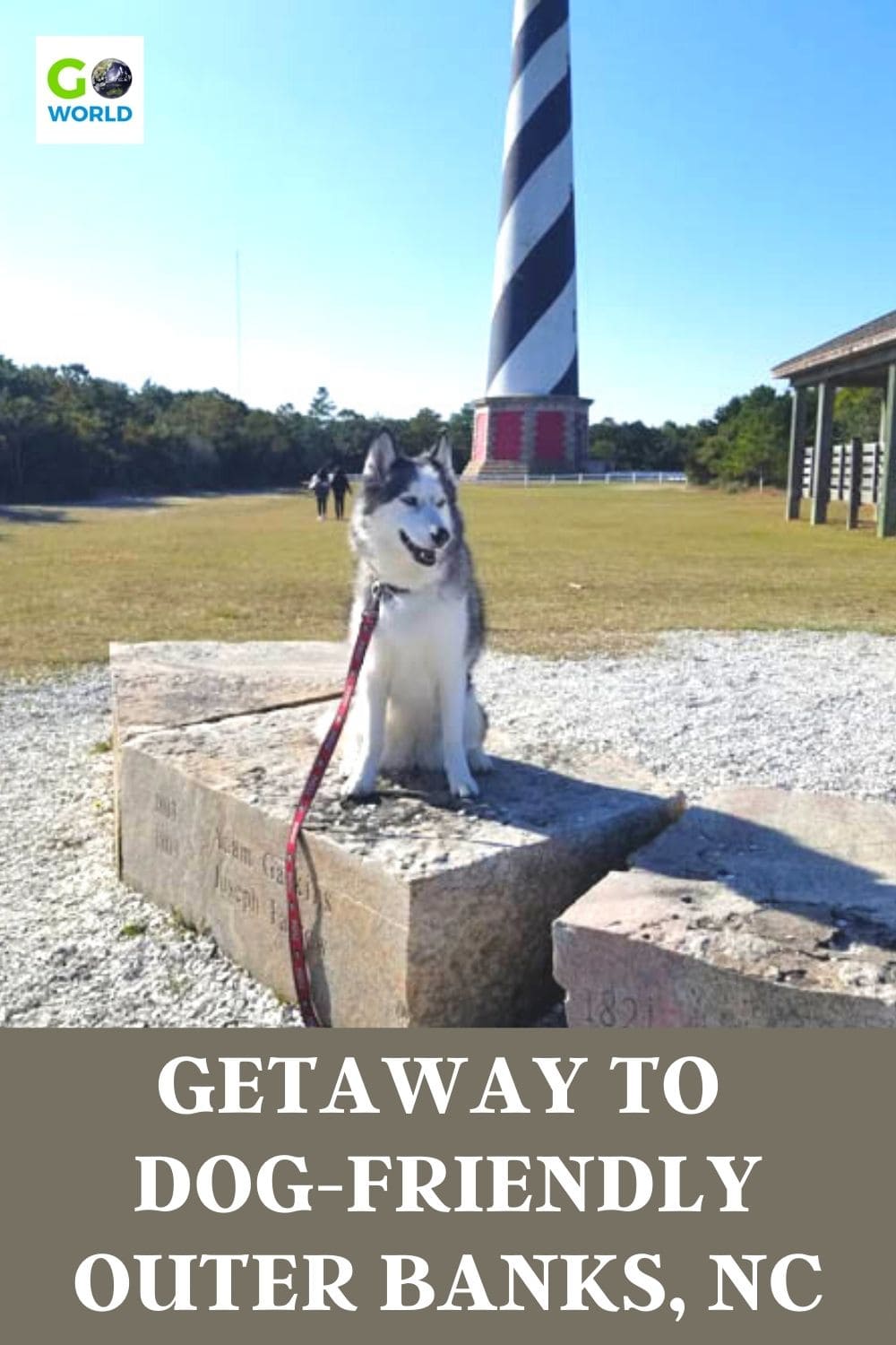Mencari liburan dengan anjing Anda?  Lihat semua hal untuk dilihat dan dilakukan dan tempat menginap di Outer Banks North Carolina yang ramah anjing.  #northcarolina #outerbanksnc