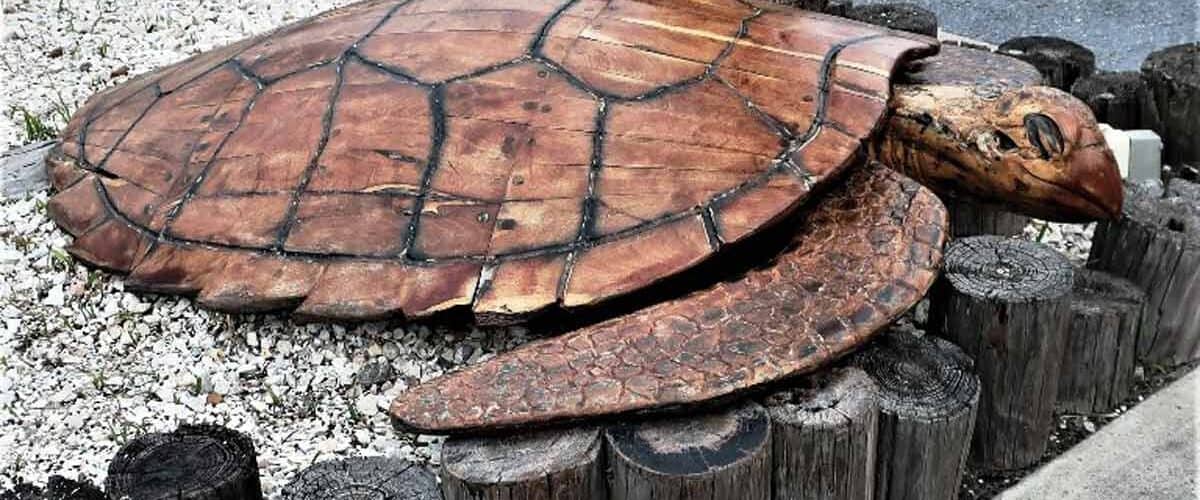 Lucy, weighing in at 400 pounds and hand-carved out of Mesquite wood, is part of South Padre Island, TX Sea Turtle Art trail. Photo by Victor Block