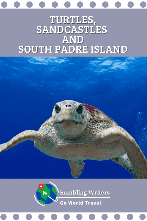Do you love turtles and sandcastles? Check out South Padre island to find a plethora of both turtles and sand sculptures! #Turtles #Sandcastles #SouthPadreIsland #SandSculptures