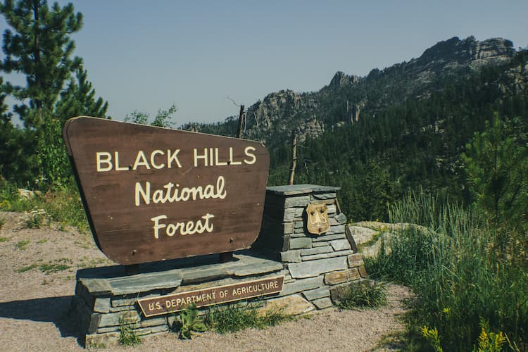 Black Hills National Forest, United States. Photo by Spencer James Lucas