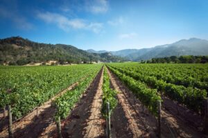 Plan a California Wine Country Vacation: Where to Stay, Sip and Savour