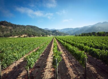 California wine country vacation