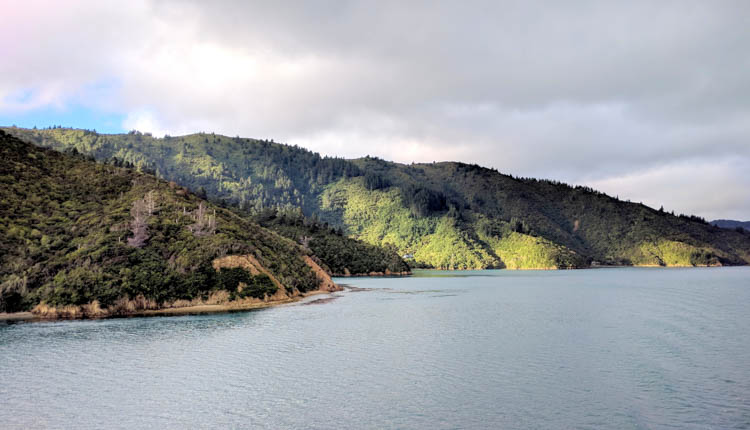 Inter Islander NZ