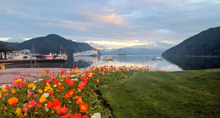 Picton and its harbour. 