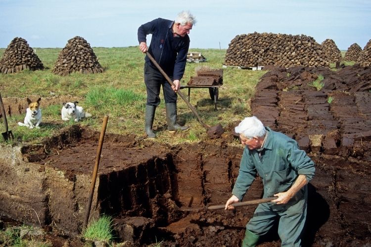 Irish Folklore Turf cutters