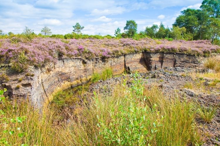 Irish Peat Bog