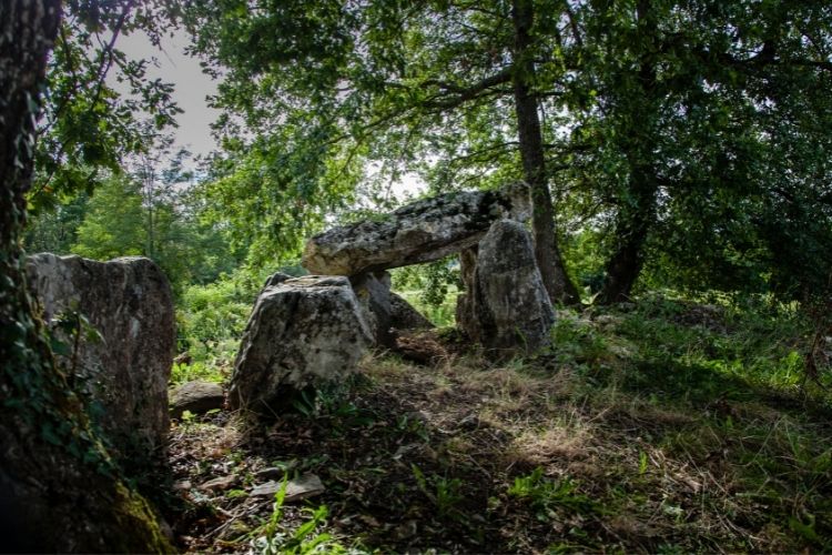 dolmen in forest